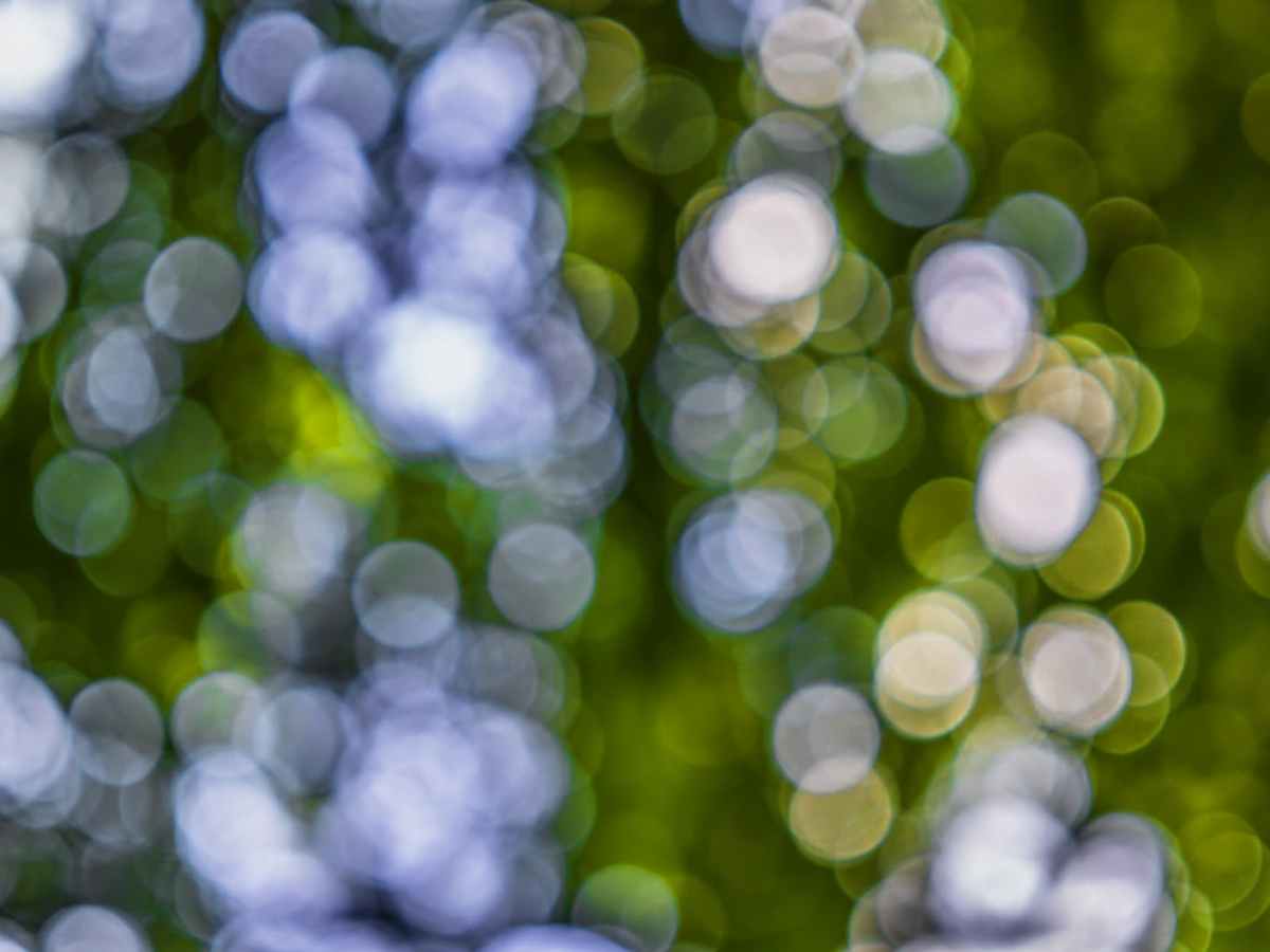 Kirchenpädagogik | what?